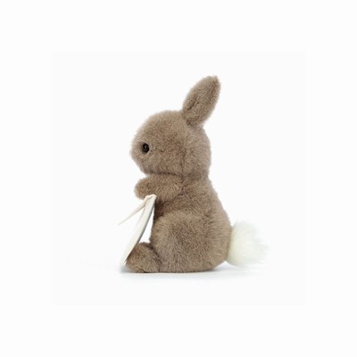 Jellycat Messenger Bunnies USA | 68914JVFU